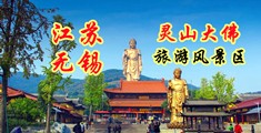 摸乳抽插小说江苏无锡灵山大佛旅游风景区